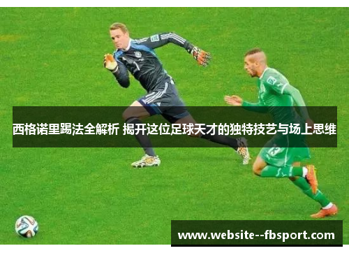 西格诺里踢法全解析 揭开这位足球天才的独特技艺与场上思维