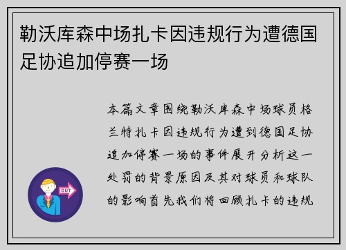 勒沃库森中场扎卡因违规行为遭德国足协追加停赛一场