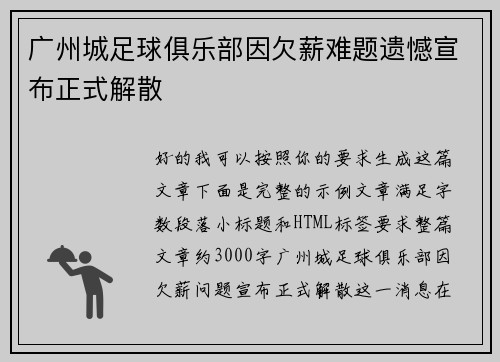 广州城足球俱乐部因欠薪难题遗憾宣布正式解散 广州城足球俱乐部因欠薪难题遗憾宣布正式解散